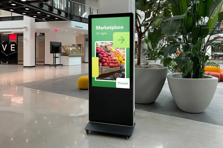 Portable Displays